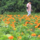 중흥2동 행정복지센터 앞 이미지