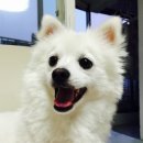 우리가축병원 이미지