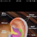 귀 뚫는위치 추천좀해줘어엉.. ㅠㅠㅠㅠ엉엉 이미지