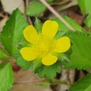 빨간펜수학의달인학원 이미지