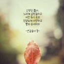 아람드리