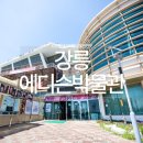 에디슨과학박물관 | 강릉 에디슨박물관 실내 데이트 볼거리 놀거리 과학 체험 아이랑 아이와 가볼만한곳