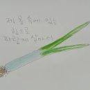 도서출판청우