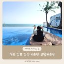 경주 감포 해수욕장 숙소 추천 감성 뷰델카라반 후기
