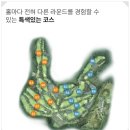 벨라스톤 컨트리클럽 | 횡성 벨라스톤CC 야간 라운딩 후기 7월 그린피 예약방법 마셜캐디 뜻
