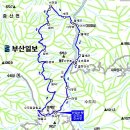 인현 이미지