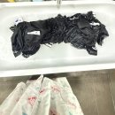 백수 | [일상로그] 백수 첫 달 후기