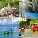 메인투어(주) | 세부 고래상어 투어 가격 캐녀닝 모알보알 세부 여행 후기