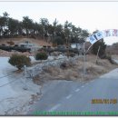 장계농장 Daum카페