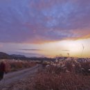 비내길 1구간 이미지