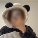 도쿄 긴자 다이소 GU 쇼핑리스트 추천