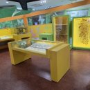 경기도박물관 | 경기도 양평 곤충박물관 관람 후기 + 비용/주차 정보
