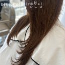 버니헤어 안양본점