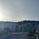 [구미] 에코랜드 짚라인 후기 / 구미 가볼만한 곳 추천