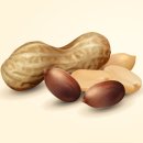 땅콩수산 이미지