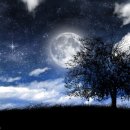 달달 - 익산시 하나로4길 19 | 달달