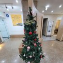 송화로31번길 5-2 | 대전 둔산동 미용실 추천 &#39;비안이즈 대전둔산프리미엄&#39; 아윤채 클리닉 후기