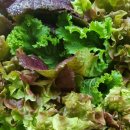 자연주의쌈밥 이미지