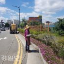 도심수목관리
