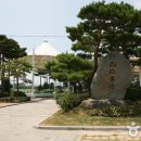 무안 회산 백련지를 다 갖는 방법! 이미지