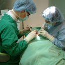 서울미치과 이미지