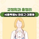 서울특별시 마포구 대흥동 교정치과 총정리