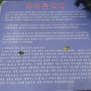 도봉사 치성광여래삼존도 이미지