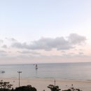 파라다이스 이미지