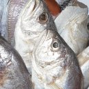 자미매운탕 이미지