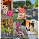 인오캠핑장 이미지