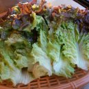 엉터리삼겹살 티스토리