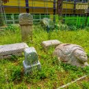 갑석농장 이미지