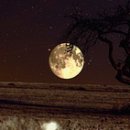 스피드세차장 이미지