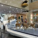 국립낙동강생물자원관 | 대구 근교 아이랑 실내 나들이 상주 국립낙동강생물자원관 리뉴얼 후기