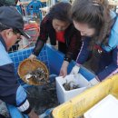 팽목횟집 이미지