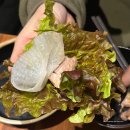 더맛있는족발보쌈 - 노원구 동일로 986 | 더맛있는족발보쌈