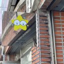 멍`s 이미지
