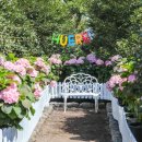 황금렌트카 이미지