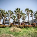 비스비제주 앤 팜빌리지 이미지