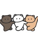 양지슈퍼 이미지