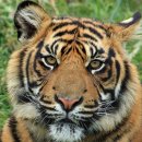 경상북도 고령군 온누리생활한복, 후기, 주차, 리뷰