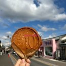 은행나무한의원 | [경주] 1박2일 여행 대추밭백한의원-계림주막-나의봄펜션-황리단길-설월당카페-통일전 은행나무길