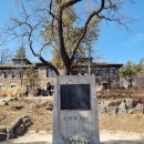윤동주 시비(연세대학교) / 이상의 집(서울 서촌마을) 2026.2.23 이미지