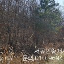 군산시-00003 이미지