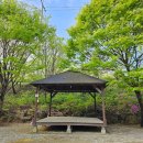 농암길 | [캠핑] 영강 뷰를 즐긴 미산가족오토캠핑장 2박 3일 후기, 문경 캠핑사이트 추천