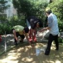 용일초등학교 이미지