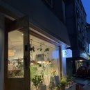 주흥길 24 | 강남 개업화분 나무수 플라워앤가든 방문 후기, 무료 배달 가능