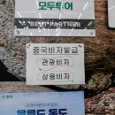 화신여행사 이미지