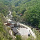 피톤치드 이미지