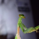 하계농장 이미지